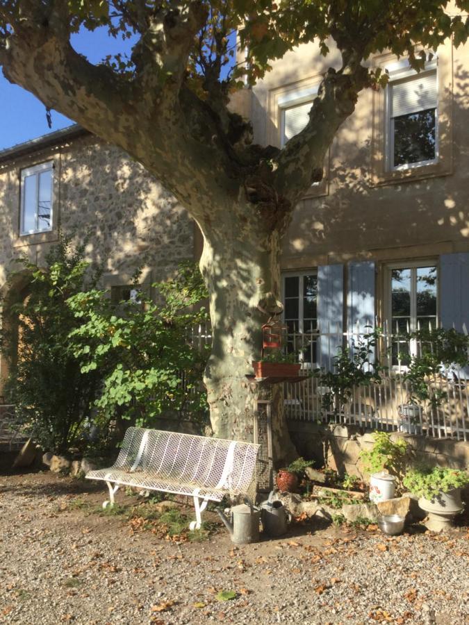 Chez Les Brocs B&B Canet  Eksteriør bilde